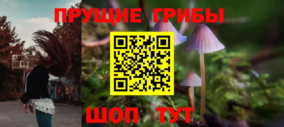 Лысьва  Псилоцибиновые грибы Psilocybine cubensis  Вход с VPN 
